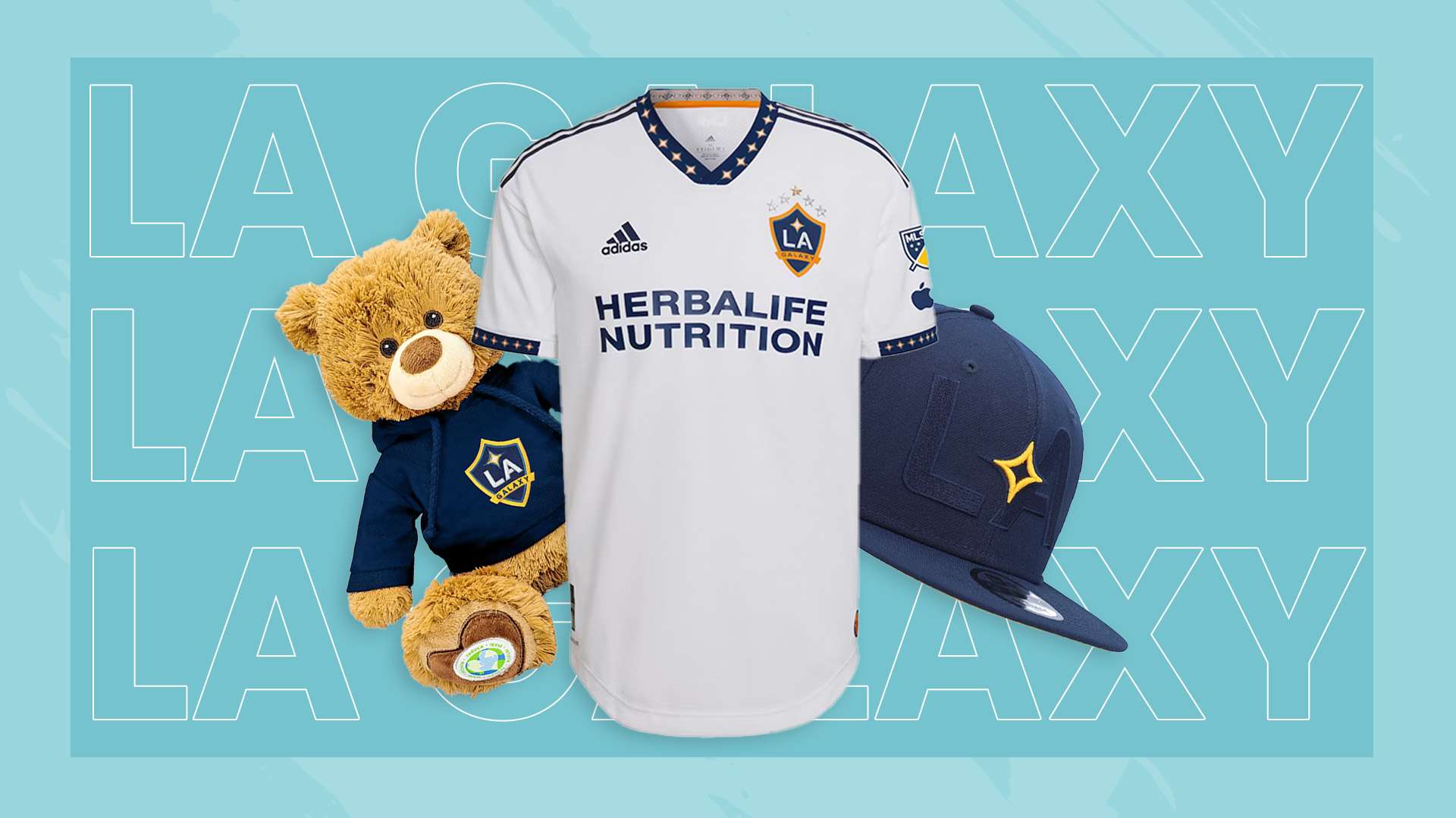 球迷的心中 球迷的心中