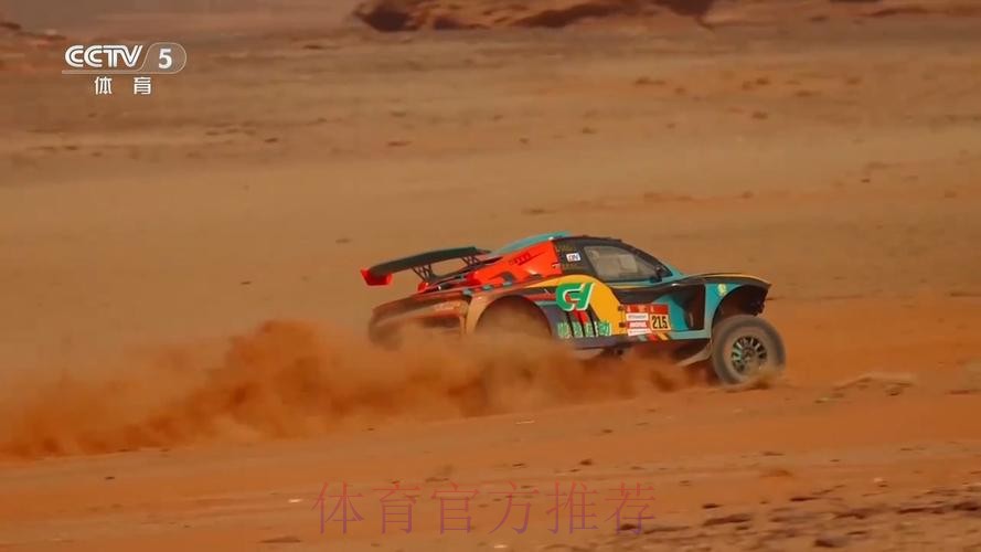 马拉松赛段“暗藏杀机” 中国车手逆境中顽强前行